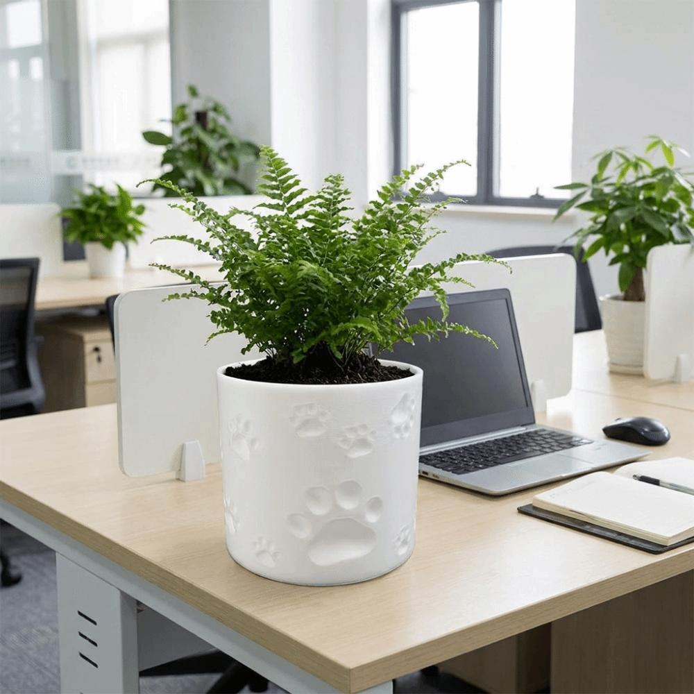 3D Printing Succulent Plant Container Cylinder Shape Decorative Planter Flower Pot  Desktop Decor