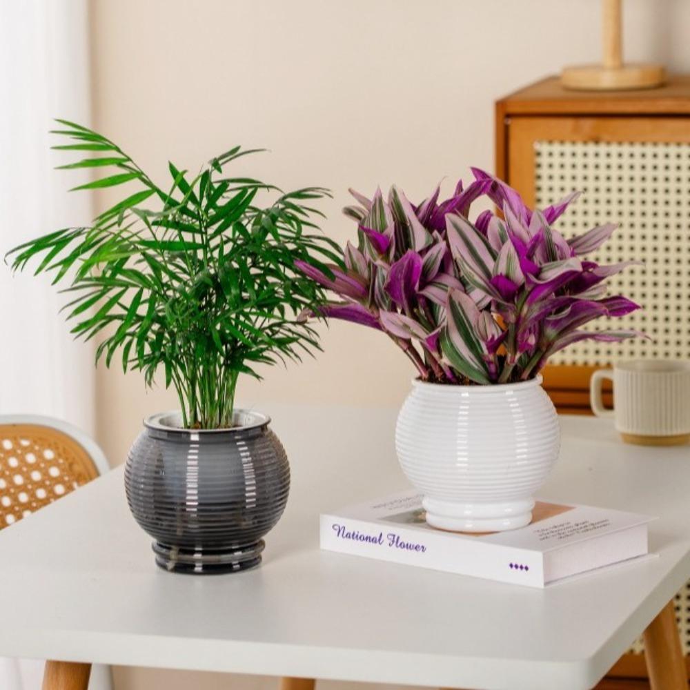 Wyjmowana doniczka Plastikowa Biurowa Dekoracja Bonsai Modna Mini doniczka na sukulenty Wazonik na biurko