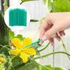 OUNONA Artificial Pollination Manual Pollination Tool for Pollination Set of Hand Manual Gardening Home Green Brush, Plants, 9.5cm Wands, 100,