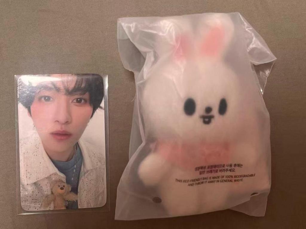 [USED] Stray Kids 5th Fan Meeting SKZOO Plush Toy