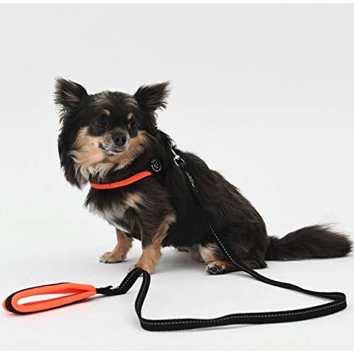 Tre Ponti Fibbia Adjustable Soft Mesh Harness for Dogs, Cushioned and Breathable (LTP123) (Size 4, Green)