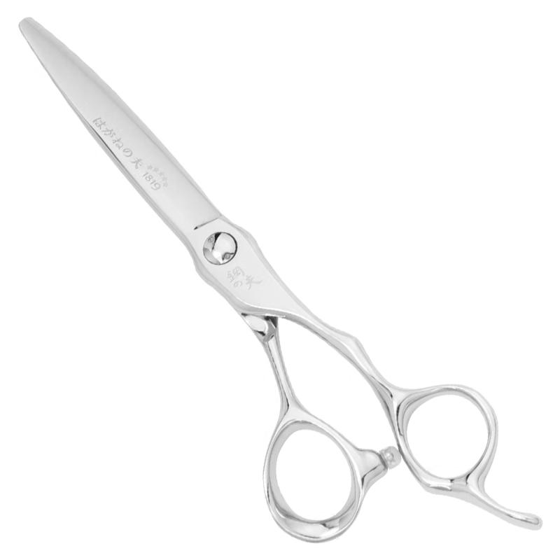 Professional Hairdressing Scissors