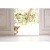 Rilakkuma Plush Toy S MR75101 Soft Cuddly Stuffed Animal for Kids and Collectors