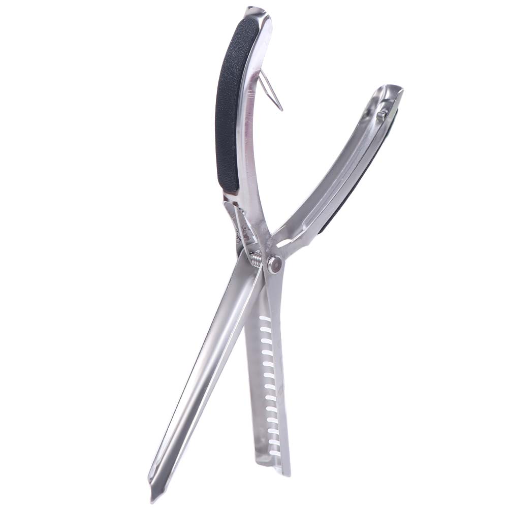 Easy Membrane Removal BBQ Rib Preparation Tool Stainless Steel Rib Skinner  Butcher Tool