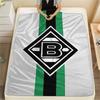 Die Fohlen Print FlAannel Blanket, High quality Comfortable for All Seasons, Home Decor, Warmth and Comfort