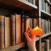 Decorative LED Book Nook Lamp Warm White Light Pumpkin Ghost Lantern  Dorm Room