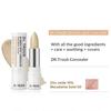 SIDMOOL Dr. Troub Blemish Spot Concealer 5g