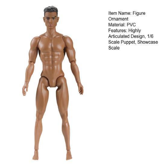 45663 Scale Male Muscular Action Figure Body with Removable Head Highly Articulated Multi-Jointed Figure Ornament