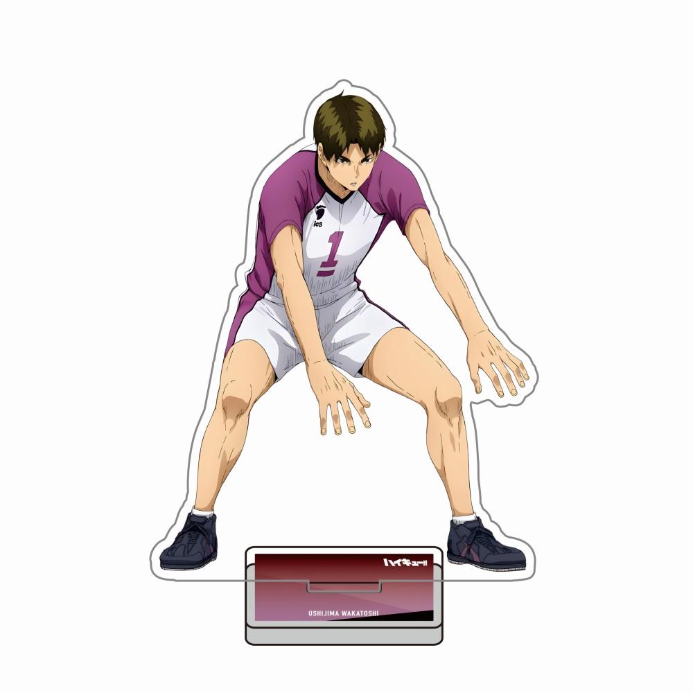 Haikyuu!! 15CM Acrylic Stand Hinata Shoyo Kageyama Tobio Oikawa Tooru Anime Figure Desk Decor Otaku Fans Collection Gift