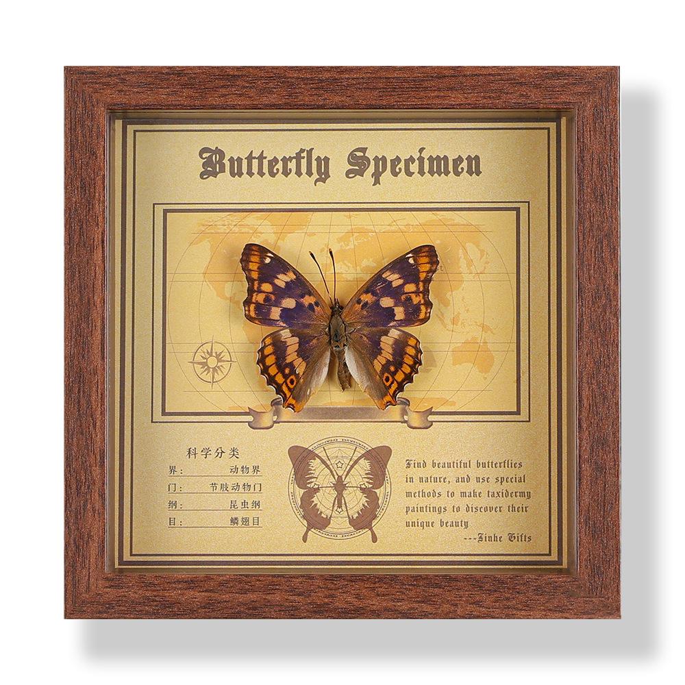 Real butterfly specimen photo frame, decorative painting, 3D ornament, handmade DIY, birthday gift, insect specimen