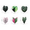 Creative Acrylic Tropical Plant Magnetic Fridge Sticker - Simulation Leaf Design