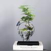 Personalized Retro Creative Suspended Wrought Iron Flower Pot Indoor Succulent June Xuewen Bamboo Potted Landscape