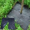 Water-permeabl Tree Mat with Holes Fruit Tree Fabric New Lawn Protection Cover