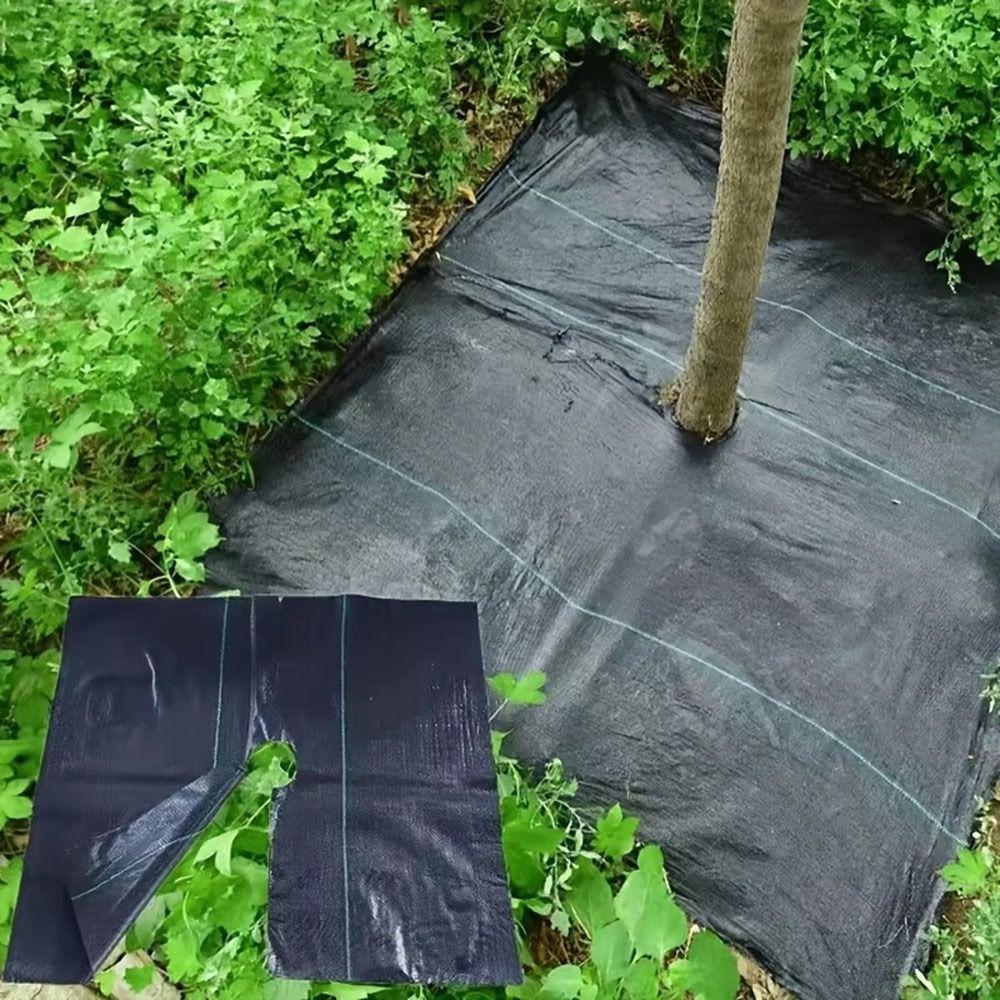 Water-permeabl Tree Mat with Holes Fruit Tree Fabric New Lawn Protection Cover