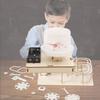 Educational Diy Electric Static Snow Toy Science Experiment Kit For Kids Wood Material