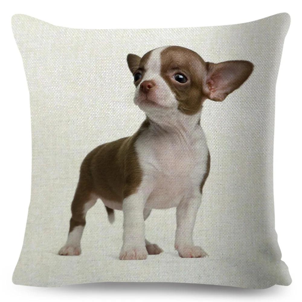 Niedlicher Kleiner Hund Chihuahua Kissenbezug Deko Liebes Haustier Tier Kissenbezug Polyester Überwurf Kissenbezug für Sofa Zuhause Auto 45x45cm