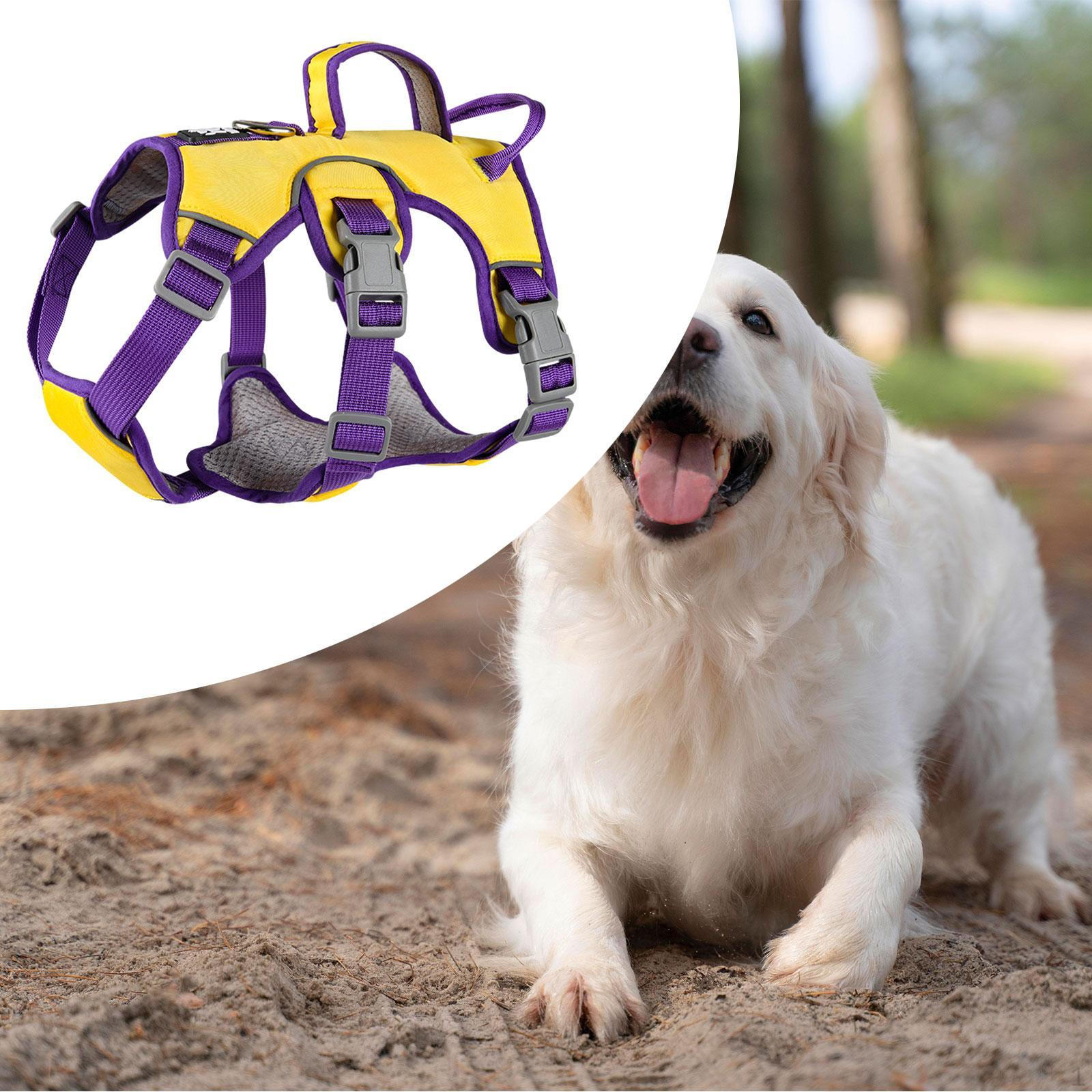 

Регулируемый жилет для собак средних и маленьких пород со светоотражающими элементами S