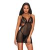 Obsessive - Sexy Lace Dress + Thong Millagro L/XL