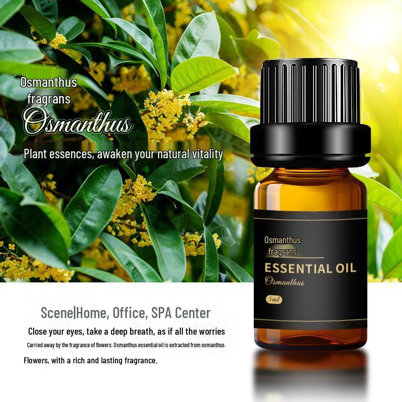 Aroma Stone Essential Oil Diffuser: Long-Lasting, Water-Soluble Humidifier Incense for Bedroom