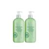 Elizabeth Arden Green Tea Body Lotion 500ml 2pcs