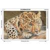 Full Round Diamond Painting Cross Stitch Diamond Animal Picture Rhinestone Decor