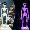 Desktop Fish Tank Decorations Dancing Skeleton Aquarium Bubbler with Adjustable Air Flow Underwater 3D Printed Unique for Powered Moving Skull