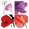 Living Room Flower Decals Wall Decal Removable Peel And Stick PVC Stickers Colorful Rose/Morning Vibrant Decor Glory Floral Murals for Bedroom Nursery