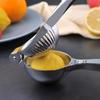 Lemon & Orange Metal Manual Juicer - Freshly Squeezed Fruit Press