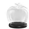 Klare Glaskuppel-Glasdose Durchmesser 3,5 Zoll DIY Bastel-Ausstellung Holzsockel zur Dekoration Figuren Heimdeko