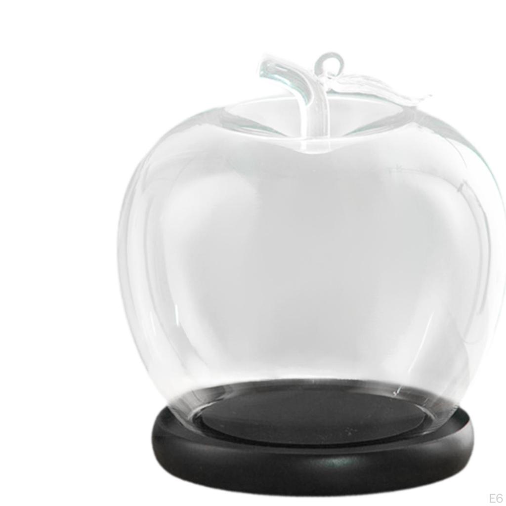 Klare Glaskuppel-Glasdose Durchmesser 3,5 Zoll DIY Bastel-Ausstellung Holzsockel zur Dekoration Figuren Heimdeko