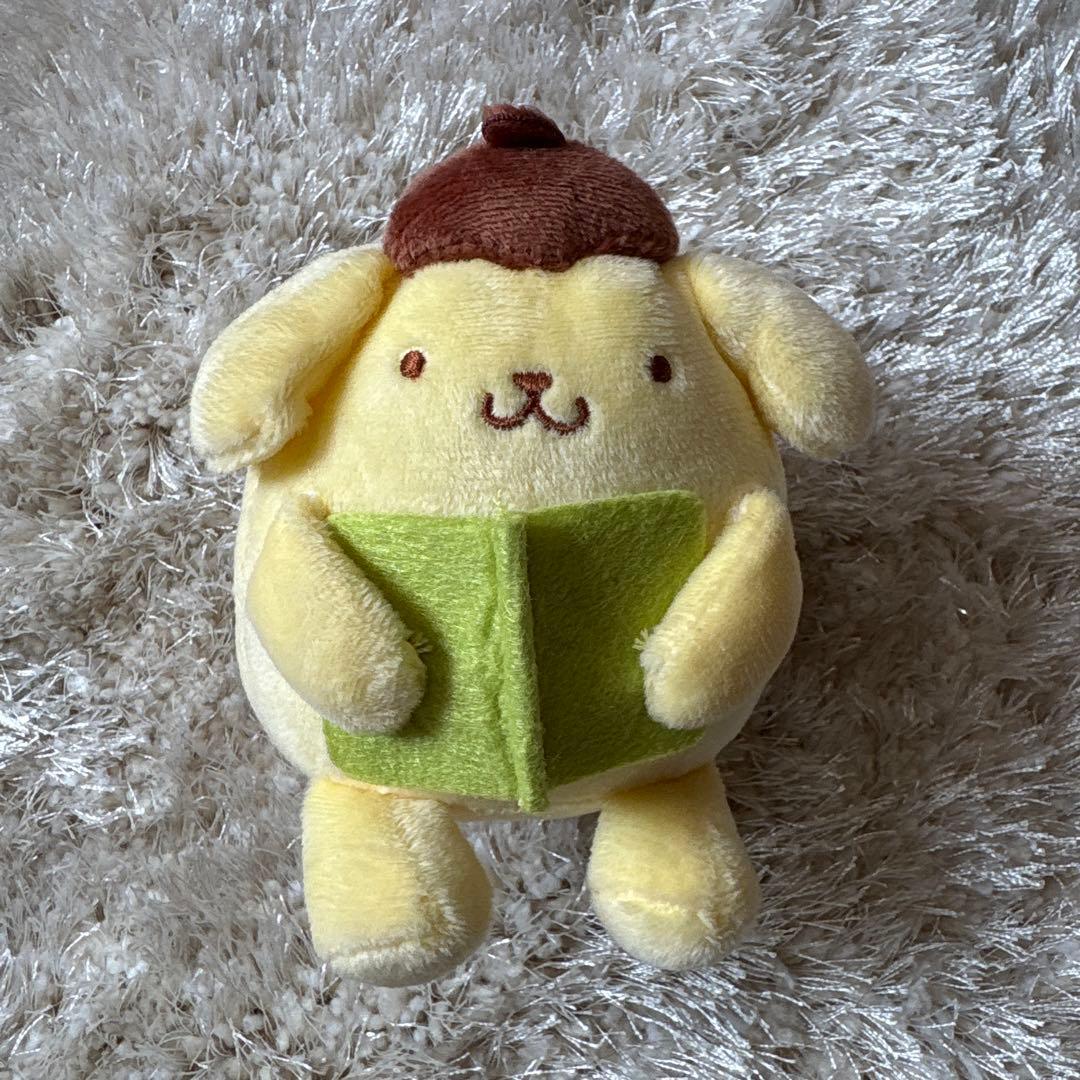 Pompompurin stuffed toy mascot design with a book