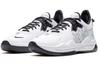 Nike Pg 5 'White Black' CW3143-100