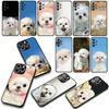 Hülle für Samsung Galaxy A36 A17 A26 A07 A35 A54 A53 A13 A33 A34 S8 S9 S20 S21 FE S10 Plus Handyhülle Haustier Bichon Frisé Weißer Hund