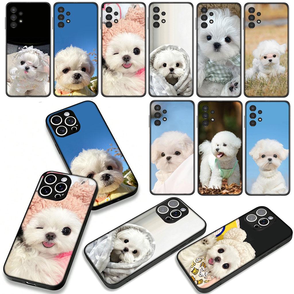 Hülle für Samsung Galaxy A36 A17 A26 A07 A35 A54 A53 A13 A33 A34 S8 S9 S20 S21 FE S10 Plus Handyhülle Haustier Bichon Frisé Weißer Hund