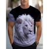 European and American Cross-border Amazon's New Summer Casual Men's Clothing 3D Digital Printing Five-pointed Star Quick-drying T-shirt