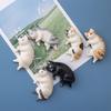 6Pcs Kawaii Resin Mini Sleeping Cat Mini Figures Miniature Things Statues Dollhouse Room Home Decor Items Desk Accessories