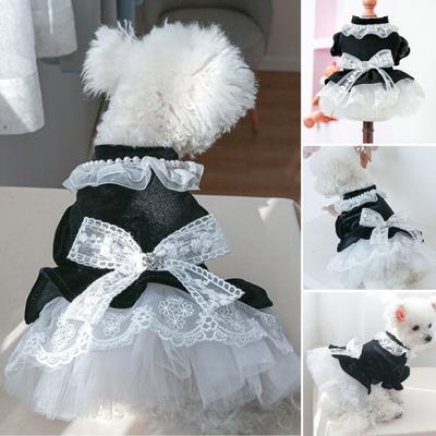 Haustier-Tüllkleid, weiche Nähte, gefälschte, bequeme Spitze, Haustierkatze, Perlendekor, Hunde-Bowknot-Kleid-Rock