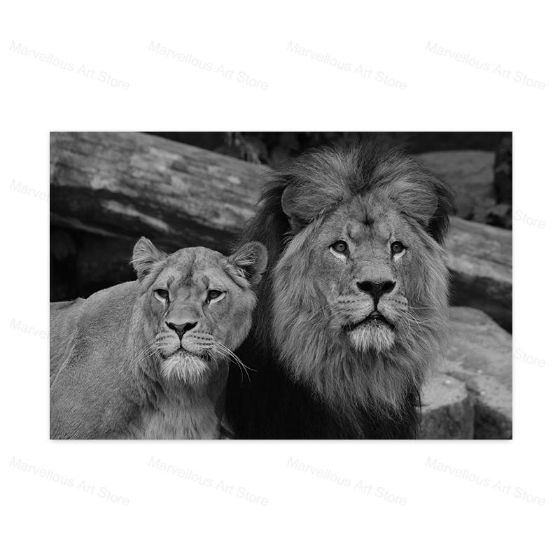 Black and White Lion Posters and Prints Painted On Canvas Painting Modern Animal Wall Art Pictures for Living Room Home Decor