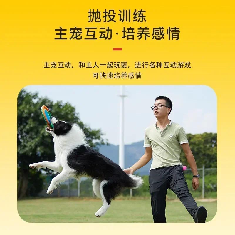 Haustier Flugscheiben Spielzeug Leinen Klein Mittel Groß Hund Darts Zerrspielzeug UFO Training Interaktives Spielzeug Welpe Apportieren Flugscheibe Bissfest