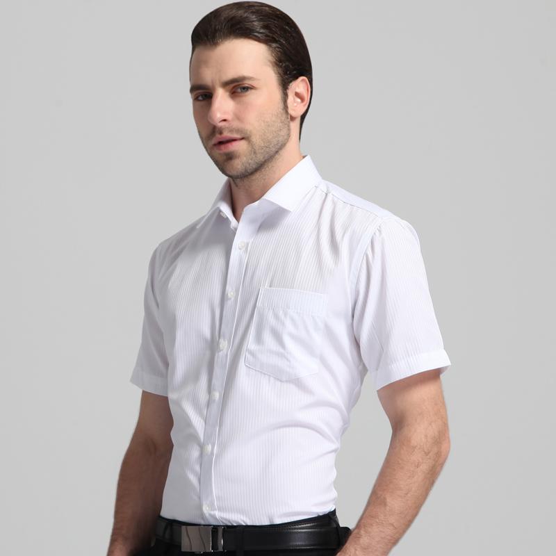 Basic Dress Shirt 