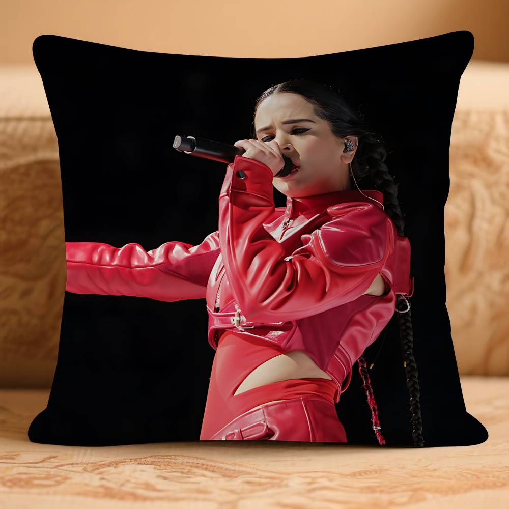 

R-RosaliaS Music AlbumS Pillow Case Removable Washable Cushion Cover – All-Season Soft Linen 16x16Inch