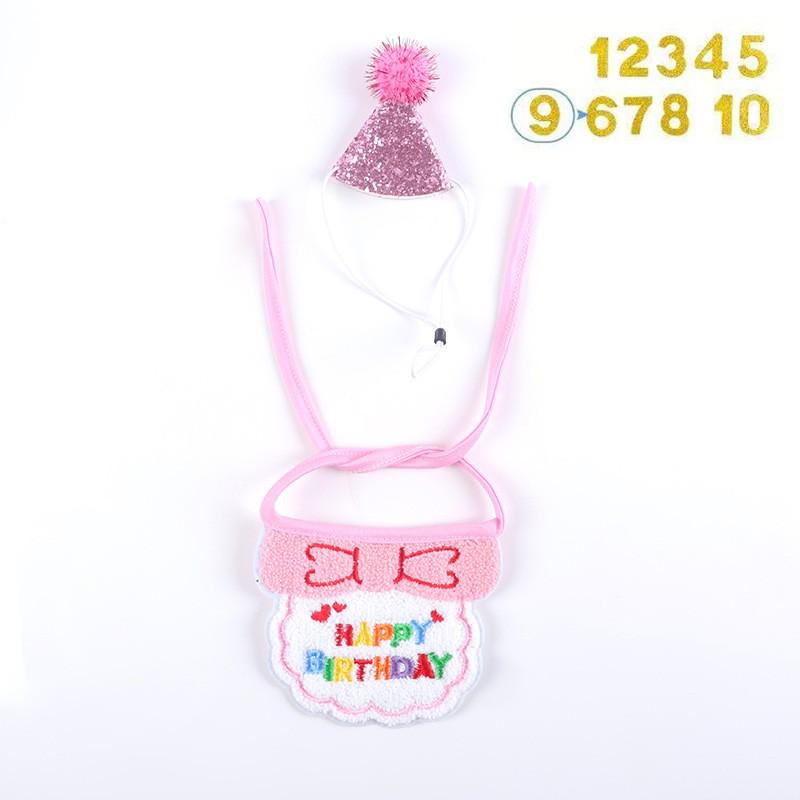 Pet Birthday Costume Set: Dog/Cat Bib, Party Hat, Saliva Towel