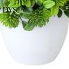 Artificial Plant Pot Realistic Energetic Decorative Vivid UV-resistant Fake Desktop Ornament Bonsai Office Decor