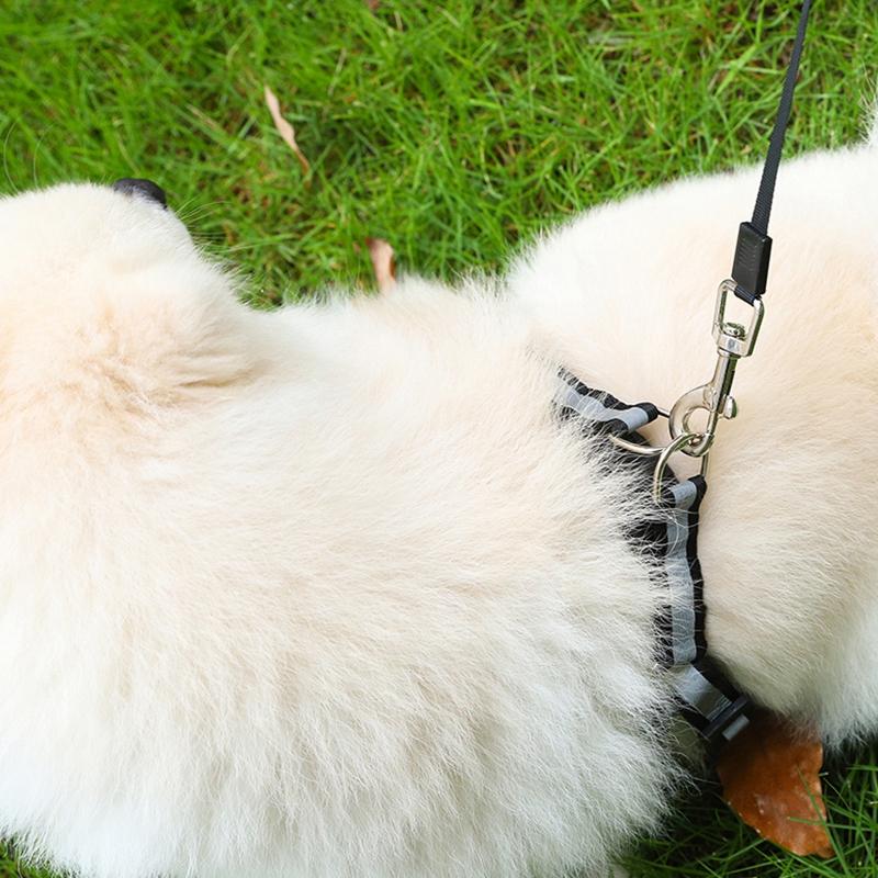 5m Long Strong Pet Leash For Large Dogs Durable Nylon Retractable Dog Walking Leash Leads Automatic Extending Dog Leash Rope