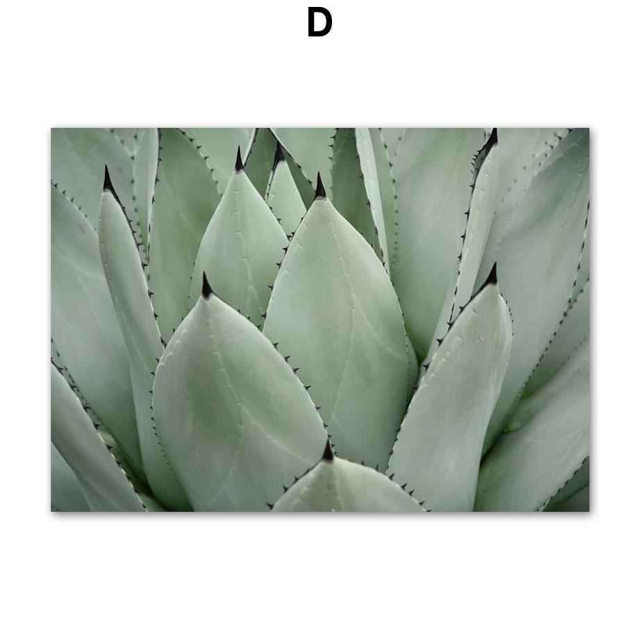 Zelená rostlina Agáve Kaktus Linie Geometrie Abstraktní Plakátový Tisk Plátno Malba Severské Nástěnné Umění Obrázky pro Obývací Pokoj Domácí Dekorace