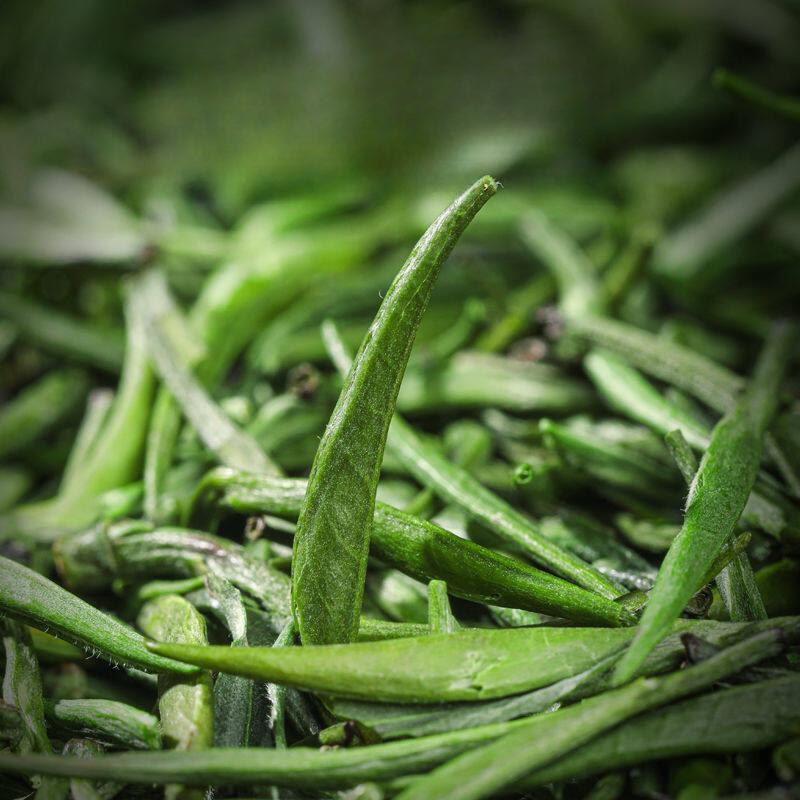 High Quality New Spring Que She Green Sparrow Tongue Tea Alpine Green Tea 250g