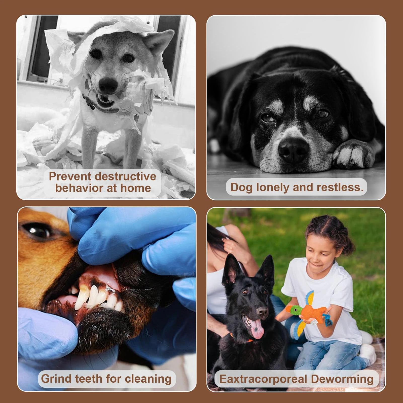 

Squeaky Dog Toys 2 Pieces Aggressive Puppy Chew Toys Bird Indestructible Teething Interactive Accessories With Stuffed Cotton China Mainland