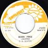 7inch Record B.B. SEATON  THE CONSCIOUS MINDS  Born Free  Free Up The Dub  NONE Sunlight 1975 Jamaica Reggae Ska  Dub Used