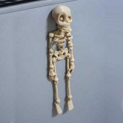 3D Mini Skelett Kühlschrankmagnet Magnetischer Beweglicher Schädel Kreativitätsmodell Ornamente Kühlschrank Heimdekoration Mini Displaytafel