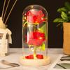 Two roses glass cover LED atmosphere light Christmas ornament Valentine's Day gift ornament flower